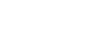 logo w2x